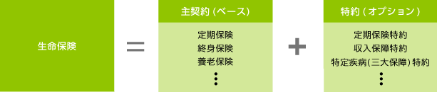 生命保険=主契約+特約（オプション）