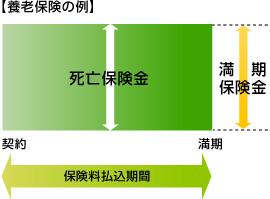 養老保険の例