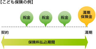 こども保険の例