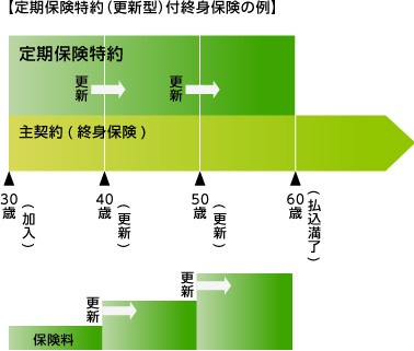 定期保険特約（更新型）付終身保険の例