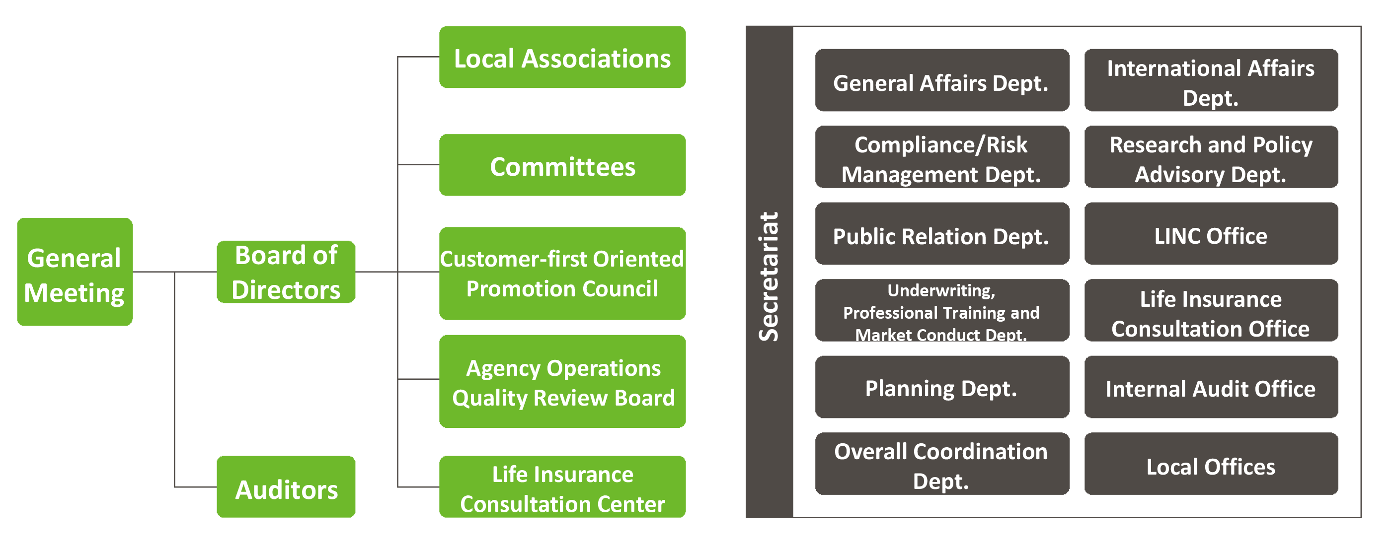 Organization Chart